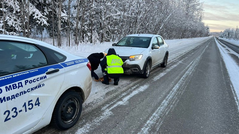 Свердловские полицейские в 35-градусный мороз помогли мужчине, попавшему в трудную ситуацию на трассе